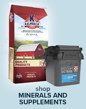 Sheep Minerals and Supplements
